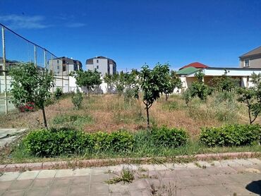 Həyət evləri və villaların satışı: 4 otaqlı, 90 kv. m, Kredit yoxdur, Orta təmir -da lalafo.az — 7 Həyət evləri və villaların satışı: 4 otaqlı, 90 kv. m, Kredit yoxdur, Orta təmir — 7