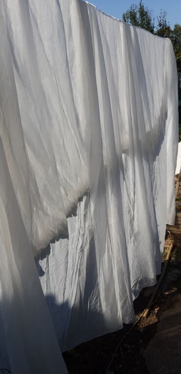 Тюли: Тюль Турецкий на шторной ленте, несколько ввриантов — 21