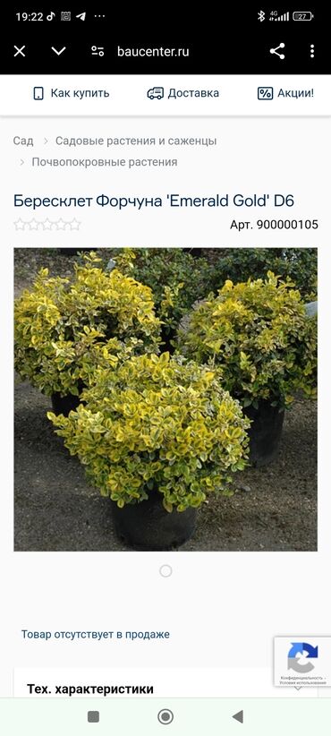 работа сиделка приходящая на дом: Талап кылынат Багуучу киши, Иш тартиби: Беш күндүк, 3-5 жылдык тажрыйба, Толук жумуш күнү