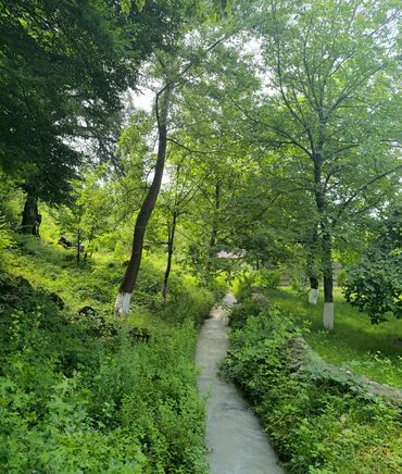 Bağ evlərinin kirayəsi: 100 kv. m, 3 otaqlı, Hovuzsuz — 2