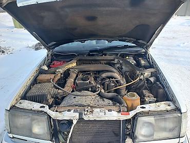 Mercedes-Benz: Mercedes-Benz W124: 1991 г., 2 л, Механика, Дизель, Универсал — 5