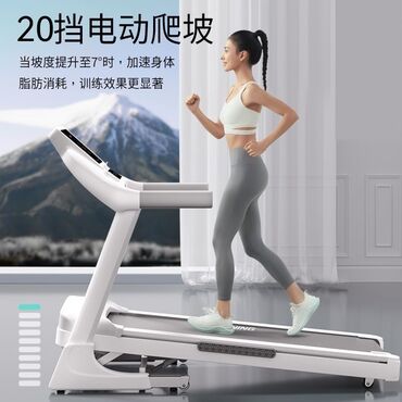 Беговые дорожки: ОСТАЛАСЬ ОДНА ПОСЛЕДНЯЯ🔥🔥🔥🔥 Беговая дорожка L-5000 Sweat Mammoth — 11