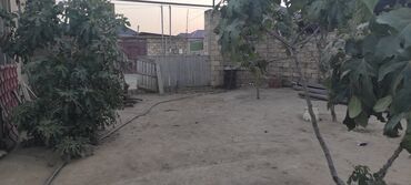 xacmaz torpaq: 10 sot, Tikinti, Maklerlər narahat etməsin, Kupça (Çıxarış)