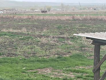 Продажа участков: 80 соток, Для сельского хозяйства — 4