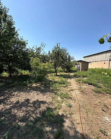 archa group: 14 соток, Для строительства, Договор купли-продажи, Красная книга — 7