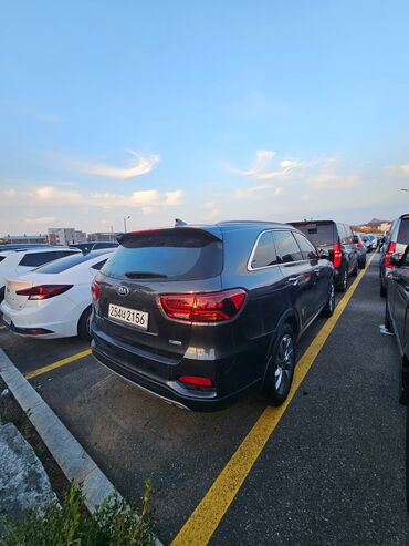 Kia: Kia Sorento: 2018 г., 2 л, Автомат, Дизель, Внедорожник — 13