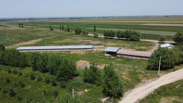 Сельхоз предприятия: 550 соток, Действующий, С оборудованием, Электричество — 10