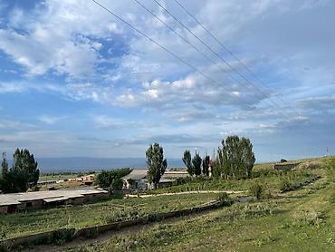 дом вагоны: Кошара, 1000 соток, Действующий, С оборудованием, Электричество, Канализация, Отопление — 2