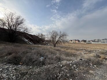 токтогула квартира: 75 соток, Курулуш, Сатып алуу-сатуу келишими