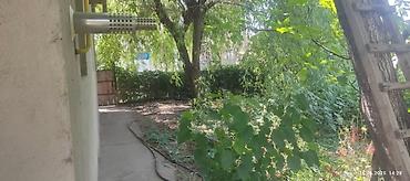 Продажа домов: Барачный, 100 м², 4 комнаты, Собственник, ПСО (под самоотделку) — 5