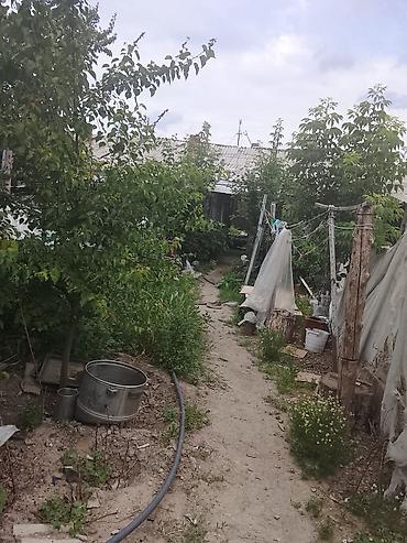 Үйлөр: Продаётся кв барачного типа из 3х комнат.Имеется вода Аристон.Газовая — 4