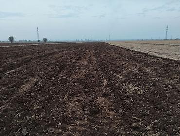 Куплю земельный участок: Продаётся хорошая поливная земля в городе карабалта возле — 3