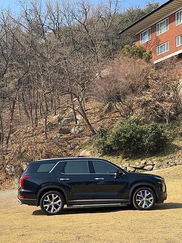 Hyundai: Hyundai Palisade: 2019 г., 2.2 л, Дизель — 9