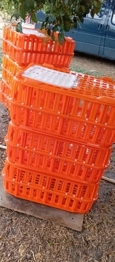 Akvarium aksessuar və ləvazimatları: Təcili satılır.6 ədədi 240manat — 3