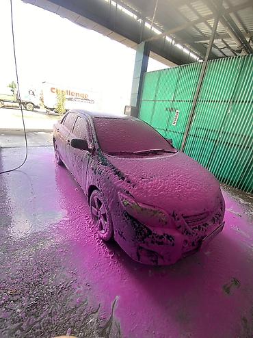 coroll: Toyota Corolla: 2007 г., 1.6 л, Робот, Бензин, Седан — 6