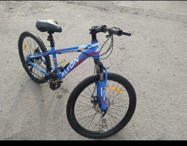 спортивные стойки: Продаю велосипед Alton В хорошем состоянии Размер колесо 24 Покупал за