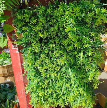 Baštenska dekoracija: Vestacko zelenilo, paneli i dodaci za ukrasavanje prostora, kuce — 9