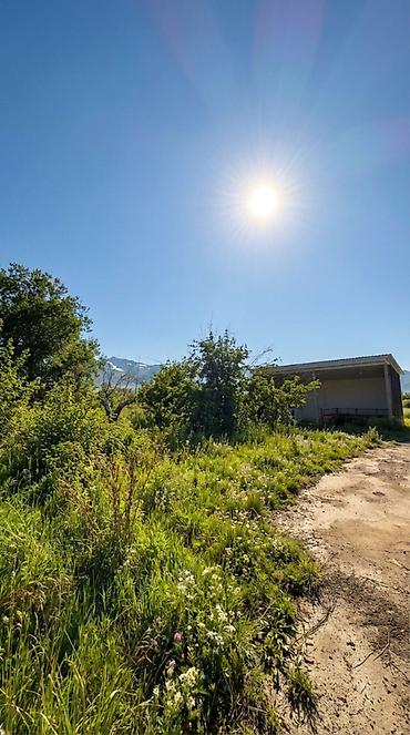 Продажа коттеджей и домов: 🏔 ПРОДАЁТСЯ УЧАСТОК В С. ГОРНАЯ МАЕВКА 📐 Площадь по документам — 13,5 — 10