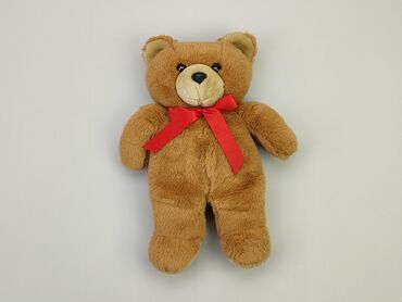 Toys: Mascot Teddy bear, condition - Very good