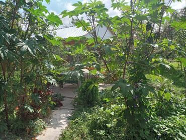 Günlük kirayə evlər: 100 kv. m, 2 otaqlı -da lalafo.az — 6 Günlük kirayə evlər: 100 kv. m, 2 otaqlı — 6