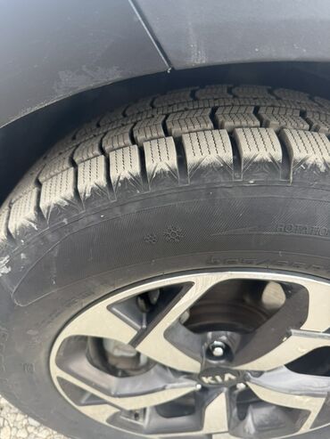 Kia: Kia Sportage: 2018 г., 1.6 л, Робот, Дизель, Кроссовер — 5