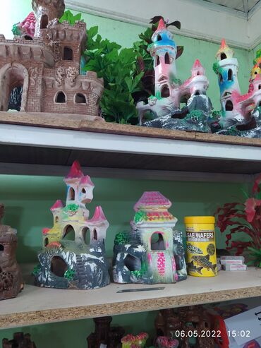 Рыбы: Рыбы — 18