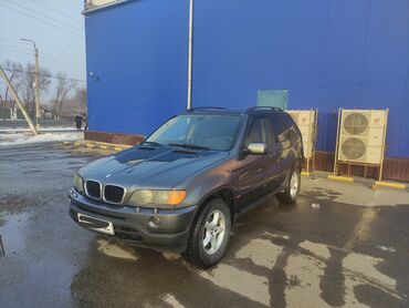 BMW X5: 2002 г., 3 л, Автомат, Бензин, Внедорожник