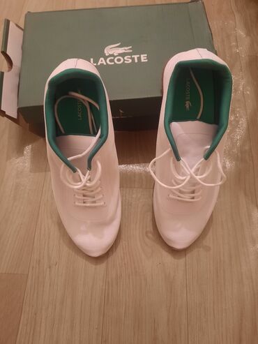 кроссовки лакосте мужские: Мужские кроссовки, 40, Lacoste, Новый, цвет - Белый