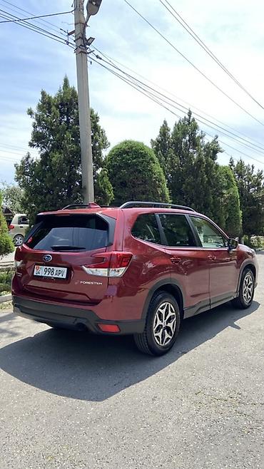 Subaru: Subaru Forester: 2020 г., 2.5 л, Вариатор, Бензин, Кроссовер — 4