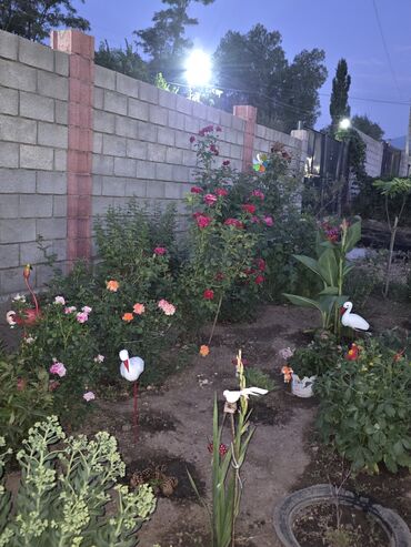 Межкомнатные двери: Чуй обл. Орловка шаарынан чон там сатылат 17 сотка жер аянтчасы менен — 24