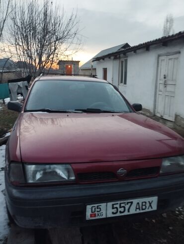 сан йонг: Nissan Sunny: 1995 г., 2 л, Механика, Дизель, Универсал