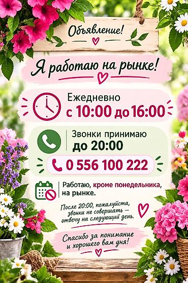 Тюльпан: Луковицы садовых цветов — большой выбор сортов и расцветок Что — 2
