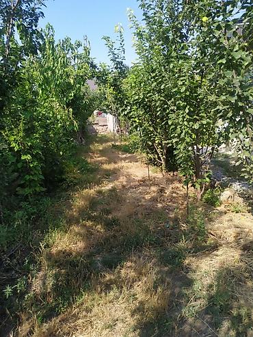 əmlak az ismayıllı: 10 kv. m, 1 otaqlı, İşıq, İnternet, Qaz — 10