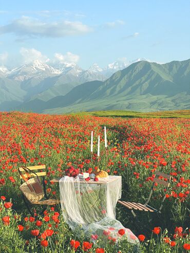 уличные горшки: Стол и стулья на аренду для ваших пикников на природе 🌸 1000 с в день