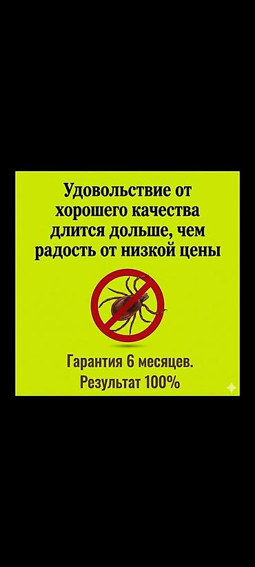 Дезинфекция, дезинсекция: Дезинфекция, дезинсекция, | Тараканы, Вирусы, микробы, Муравьи, | Кафе, магазины, Подвал, погреб, Офисы — 1