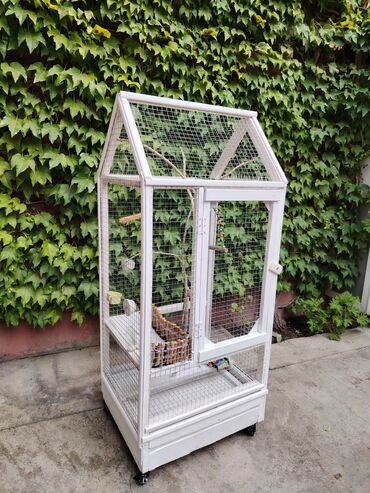 Qəfəslər: Əl işi taxda qəfəs qiyməti 160 azn real alıcılara endirim etmək olar — 5