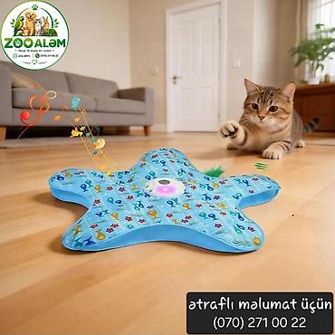 ucuz nivalar: 🐱 Pişiklər üçün Ağıllı, Avtomatik Oyun Oyuncağı 🐾 Pişiyinizin — 2
