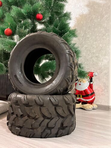 Təkərlər: Yeni Şin 200 / <25 / R 20 — 2