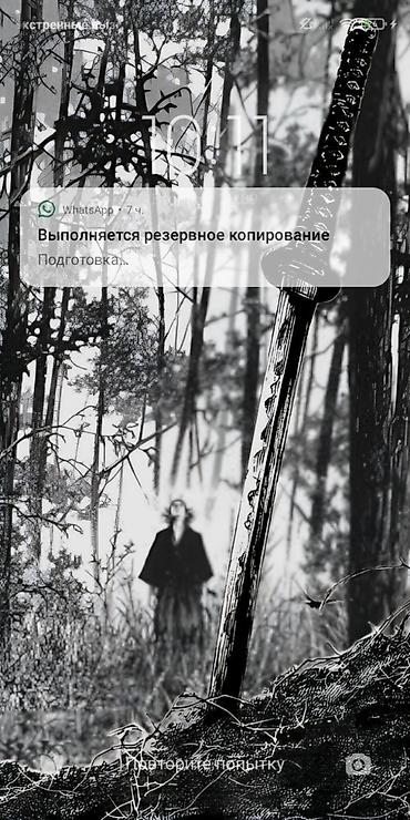 бенгальская кошка цена бишкек: Скотиш Страйт (Шотландская прямоухая), 2 года, Девочка, Серебристая шиншилла, Приучена к лотку, Проглистована, С документами — 1