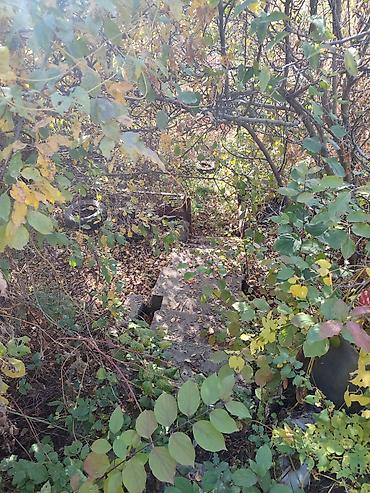 хряк: Всем привет. Продаются две дачи в Ташмойноке на улице Энергетика с — 8