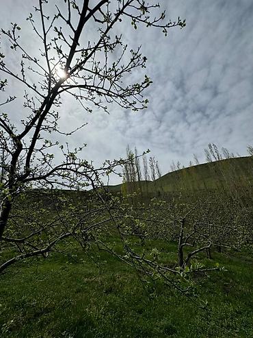 на ферму: Farm КРС, 270 соток, Действующий, Частично с оборудованием, Электричество, Скважина — 7