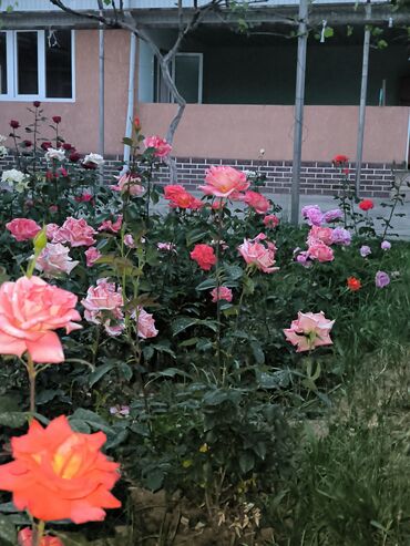 Продажа домов: Дом, 1441 м², 8 комнат — 35