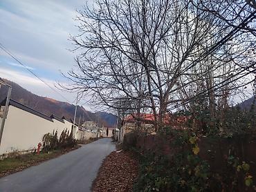 Torpaq sahələrinin satışı: 3 sot, Tikinti, Mülkiyyətçi, Kupça (Çıxarış) — 5