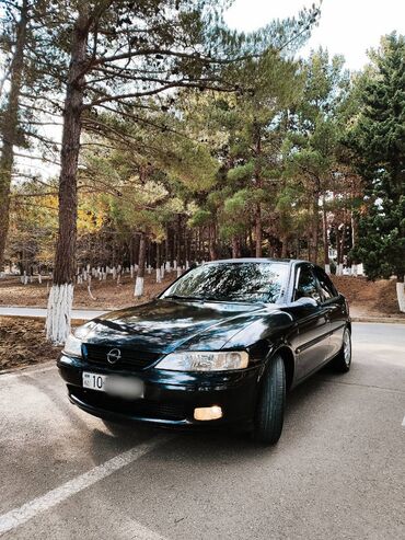 opel vektra 1997: Opel Vectra: 1.6 l | 1997 il | 250000 km Sedan