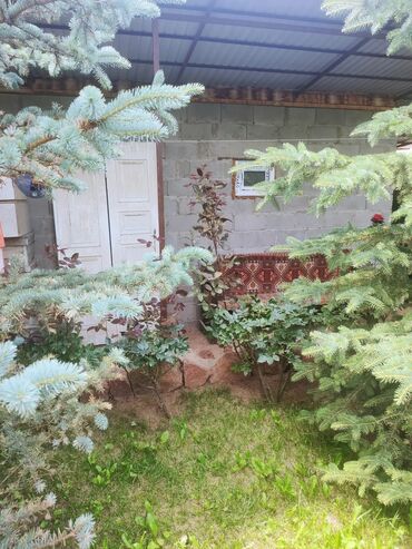 Продажа домов: Дом, 100 м², 5 комнат, Собственник — 14