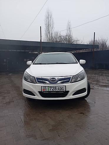 BYD: BYD E5: 2019 г., Электромобиль, Седан — 14