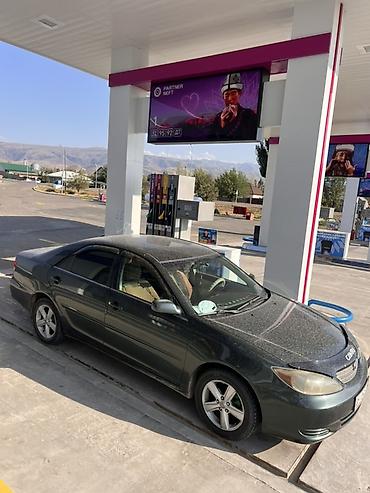 продает коврик: Toyota Camry: 2002 г., Автомат, Седан — 6