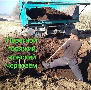 навозные черви: В тоннах, Платная доставка, Зил — 1