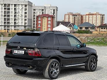 BMW: BMW X5: 2003 г., Автомат, Кроссовер — 11