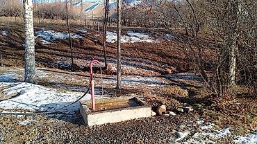 Продажа сельхоз предприятий: Ферма КРС, 25 соток, Действующий, С оборудованием, Электричество — 10